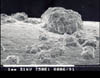 largercorrosion-pit-X30-SEM