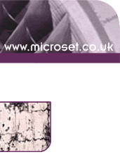 web header